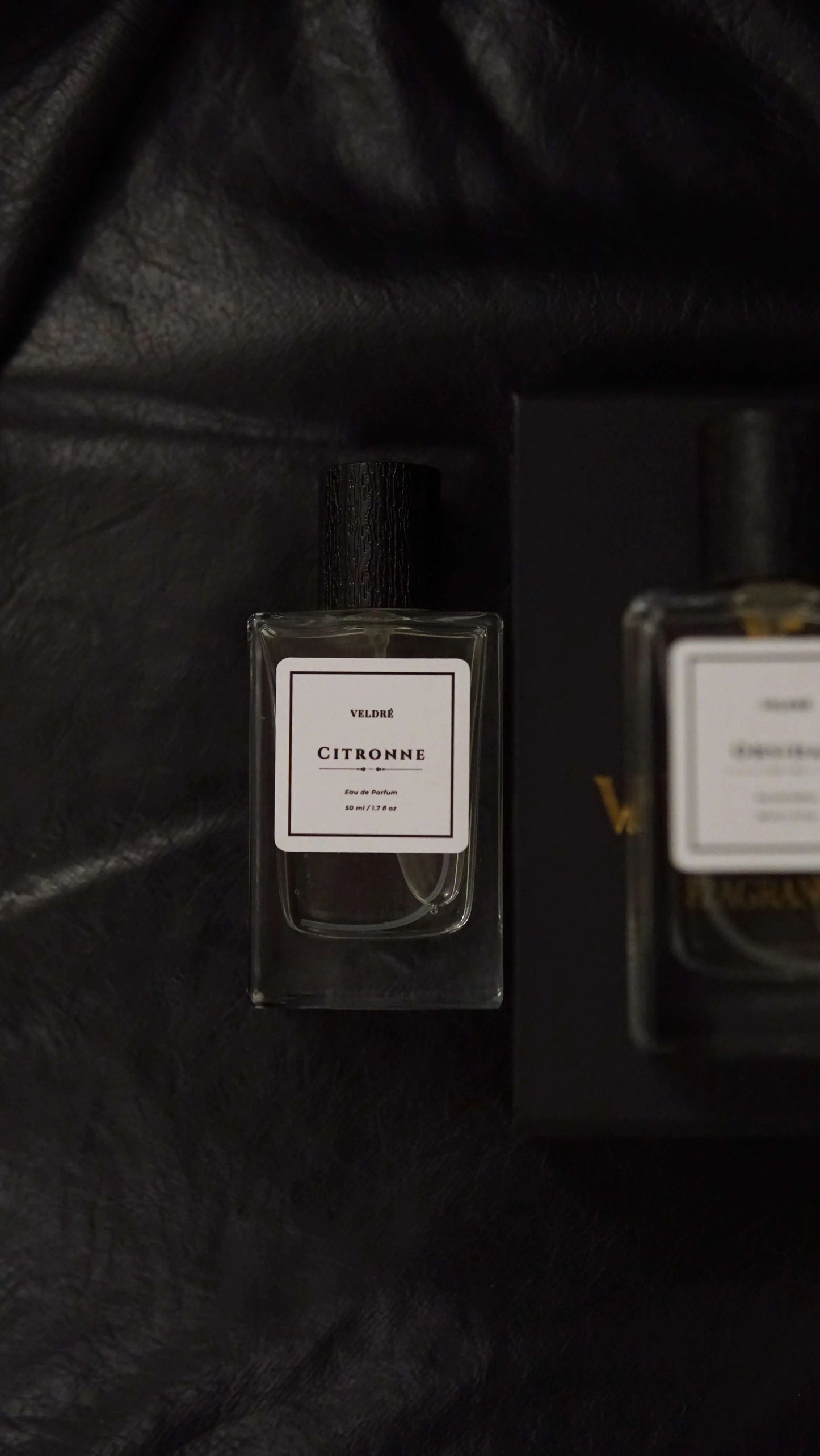CITRONNE - Inspired By Lacoste White