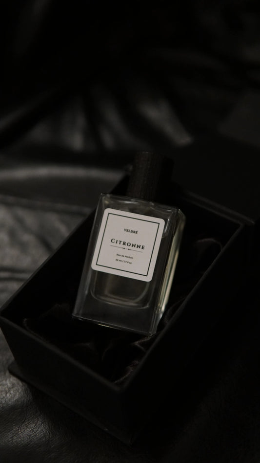 CITRONNE - Inspired By Lacoste White