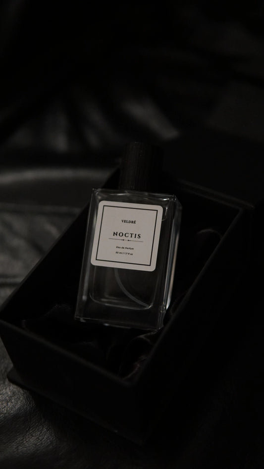 NOCTIS - Inspired By Bleu de Chanel